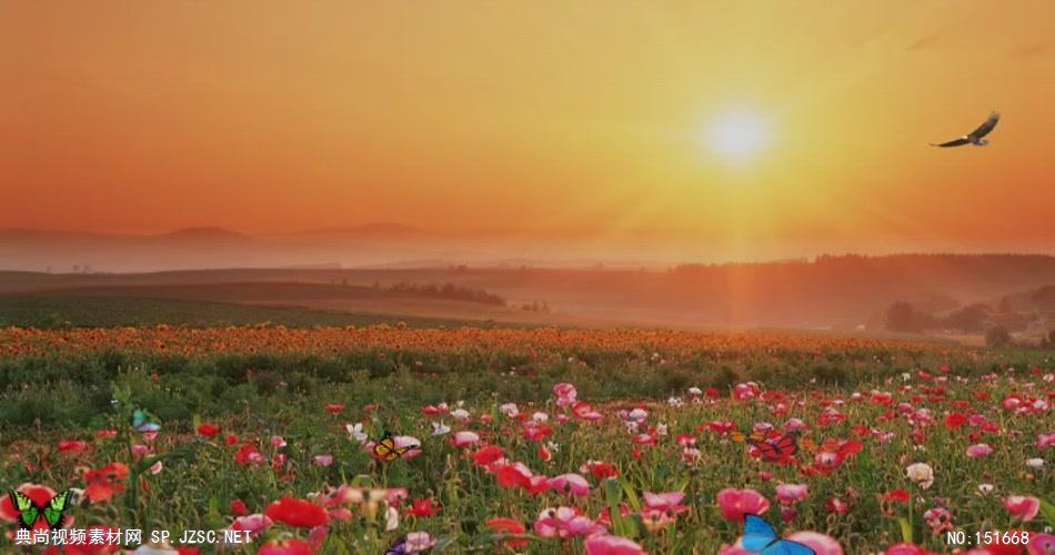 舞台节目演出视频素材炫粒019