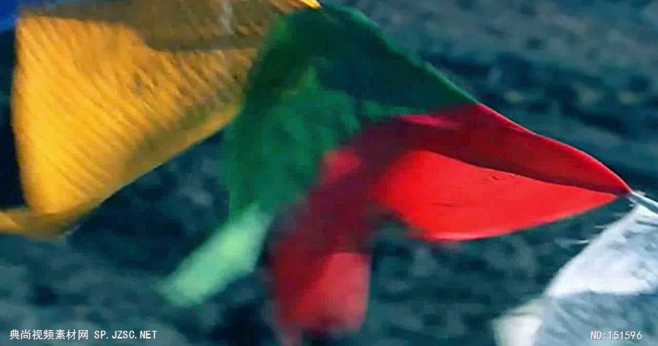 卓玛歌曲-完整版无音乐 歌唱祖国系列 配乐 歌舞