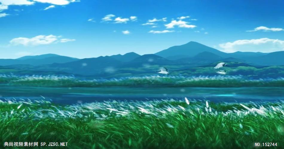 A115-大雁芦花 视频动态背景 虚拟背景视频