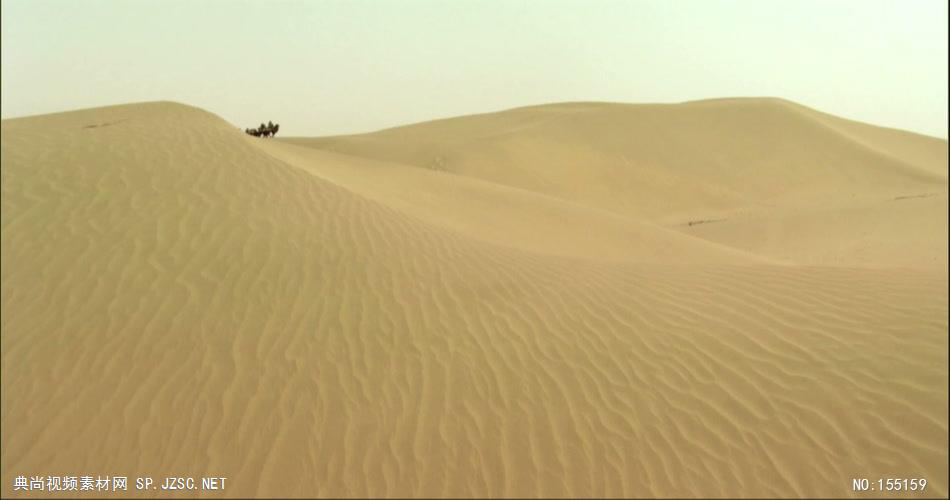 0310-沙漠骆驼队2交通 运输