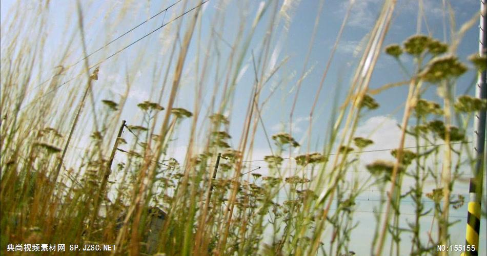 0341-火车3交通 运输