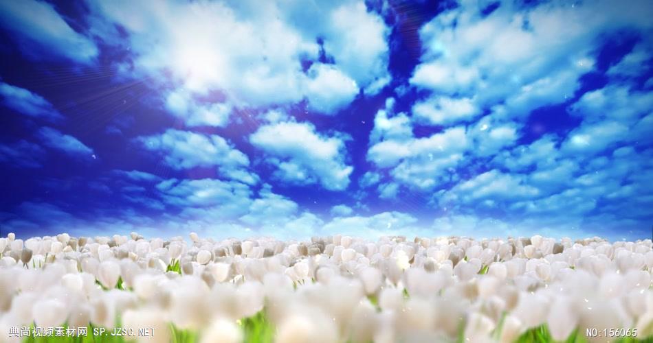 动感炫酷 演艺极品素材超赞2炫酷视频背景 酒吧视频