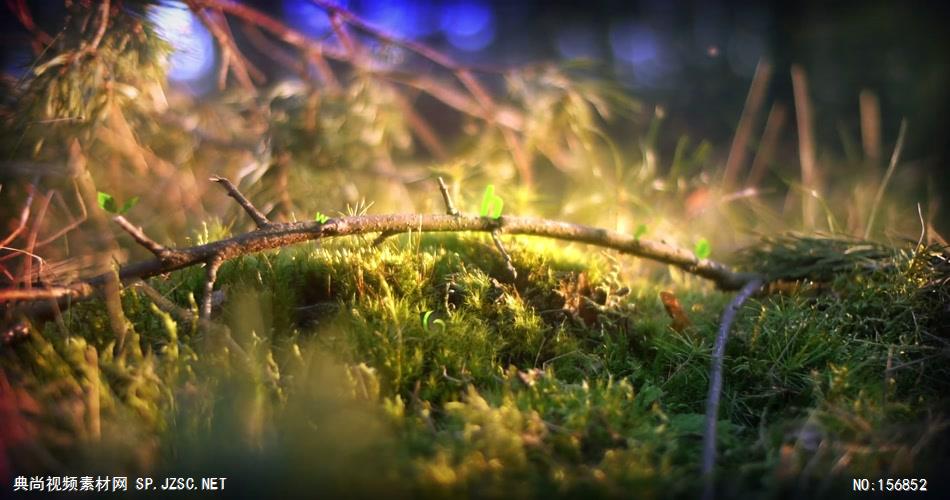 AE：春天树叶标志 AE脚本15 logo标志ae动画模版 标志动画