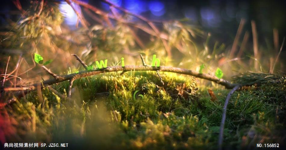 AE：春天树叶标志 AE脚本15 logo标志ae动画模版 标志动画