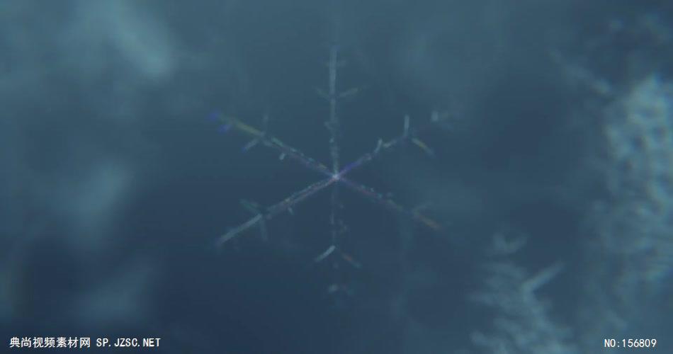 AE：冰花裂开动画标志 ae素材下载17 logo标志ae动画模版 标志动画