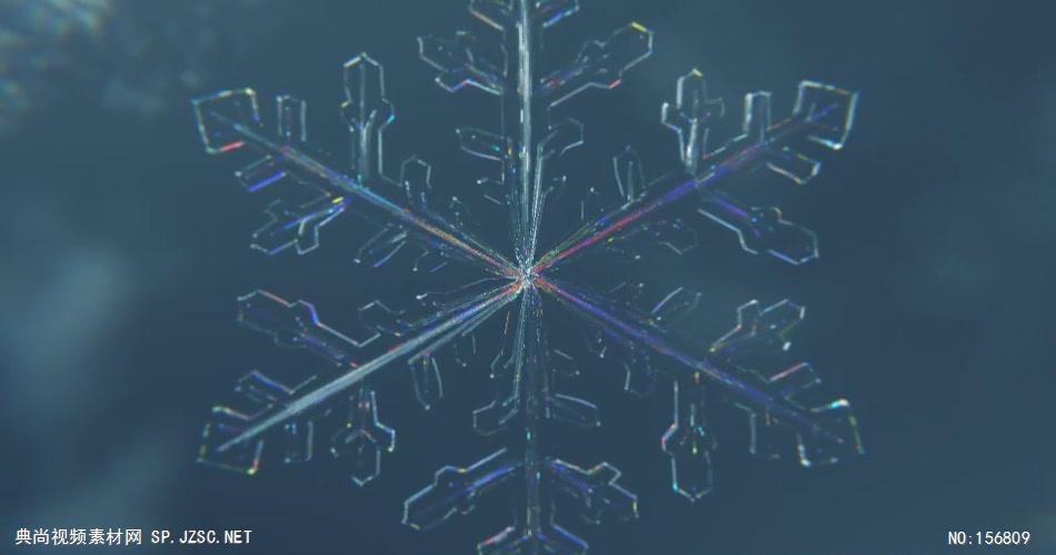 AE：冰花裂开动画标志 ae素材下载17 logo标志ae动画模版 标志动画