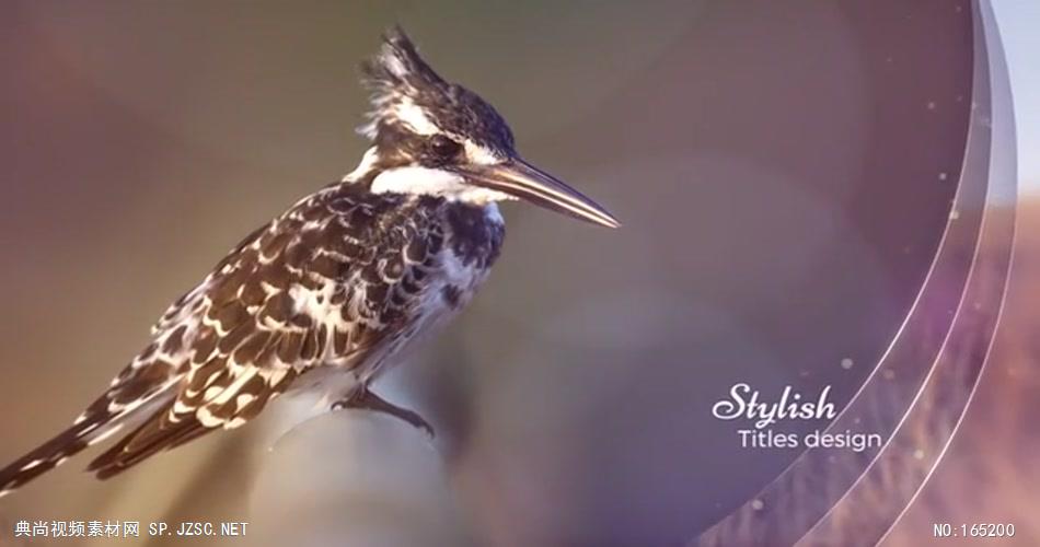 9883 阳光波纹幻灯片 ae素材ae模版