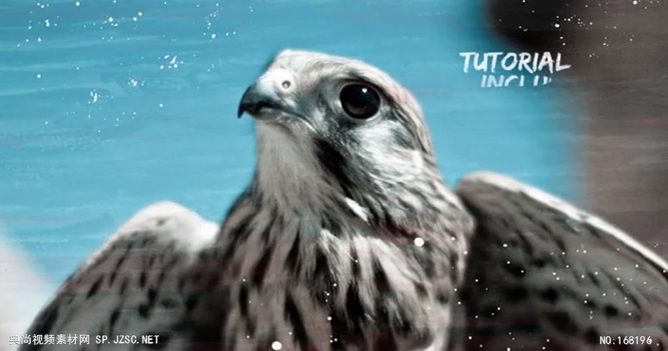 12430 笔刷涂绘效果片头 免费AE模板片头视频模板, AE素材,国外AE源文件下载 片头ae素材