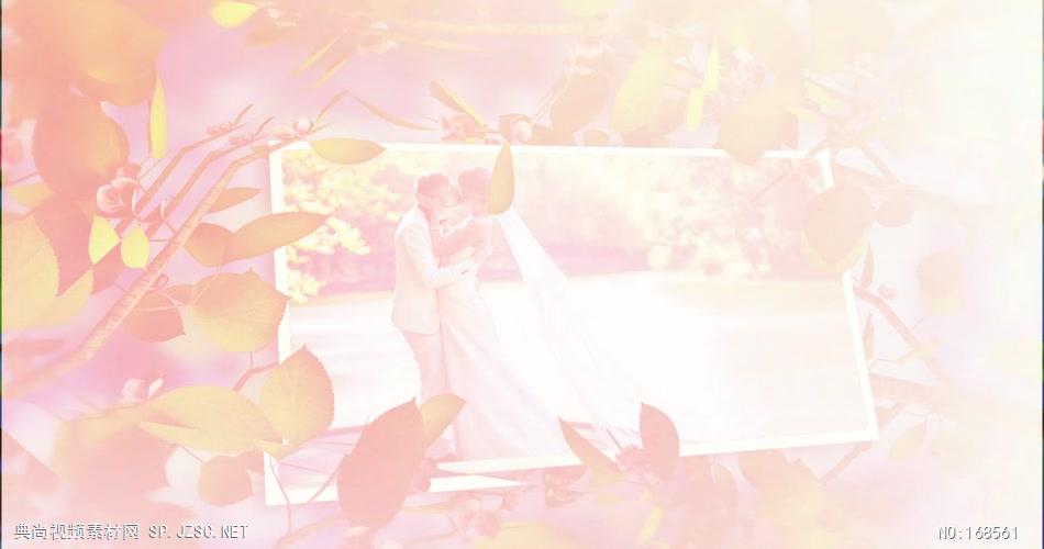 edius灿烂花枝间的内容展示模板 edius模板免费下载 edius源文件