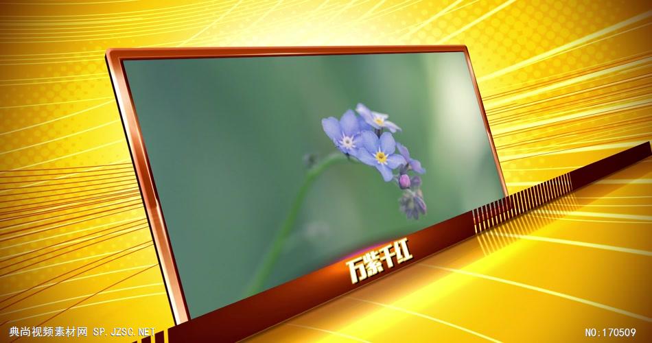 Edius黄金线条 edius模板免费下载 edius源文件