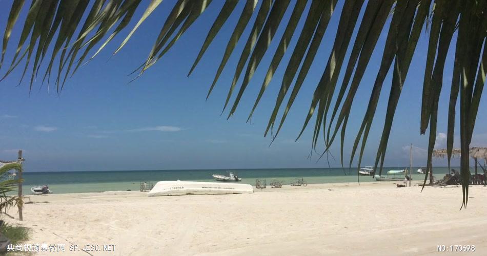沙滩椰树 款A19145沙滩无音乐 led视频素材
