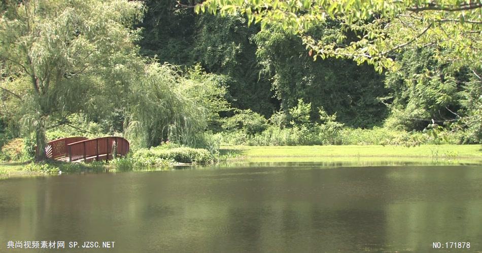 宁静的池塘 peaceful pond 高清视频全集_batchStoc Video高清视频素材下载 led视频背景 led下载