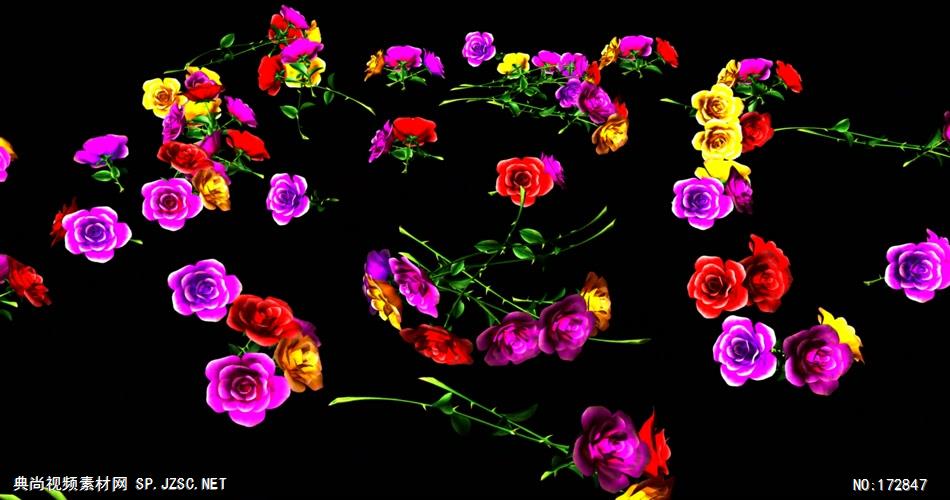 -玫瑰D32910绚丽玫瑰花_batch led视频背景下载