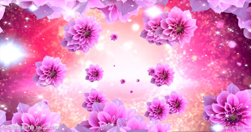 -玫瑰D3292粉红色花海_batch led视频背景下载