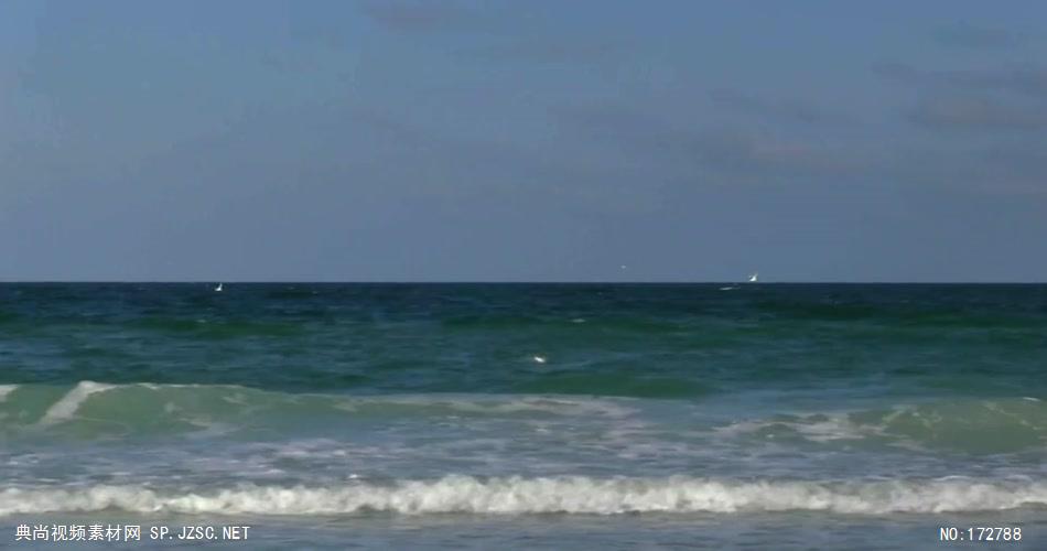 海边海鸥 公司宣传片 企业宣传片_batch 视频下载实拍广告宣传片