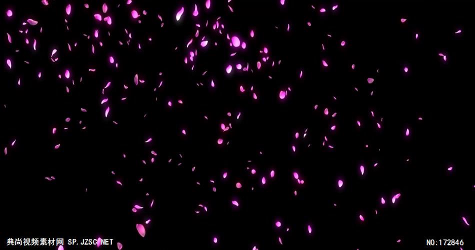 -玫瑰D3298花瓣雨_batch led视频背景下载