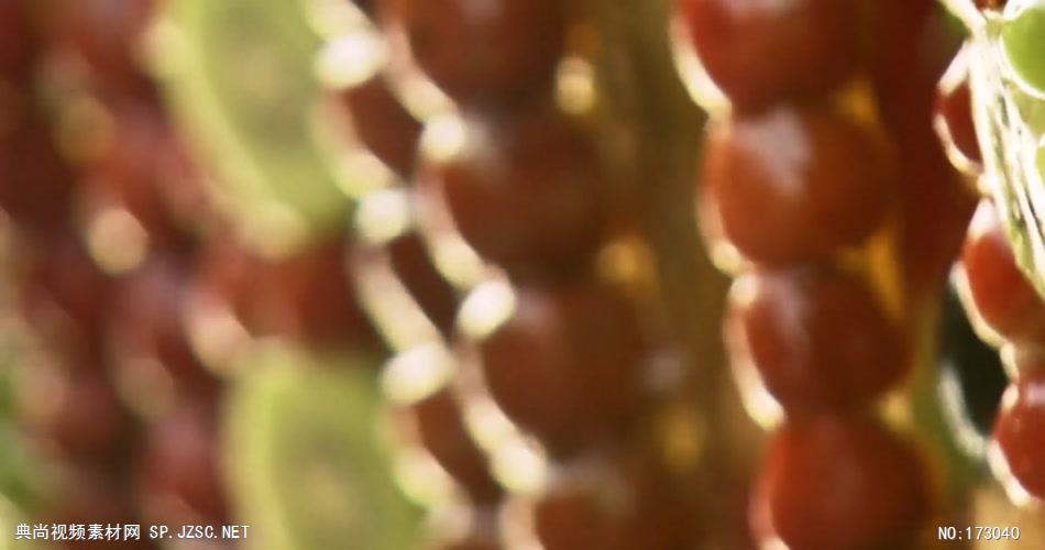 美丽中国旅游宣传片 城市宣传片视频 城市形象片