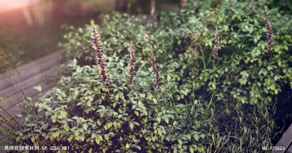 凯撒利亚别墅  三维房地产动画形象宣传片 建筑漫游 三维游历房地产动画 建筑三维动画