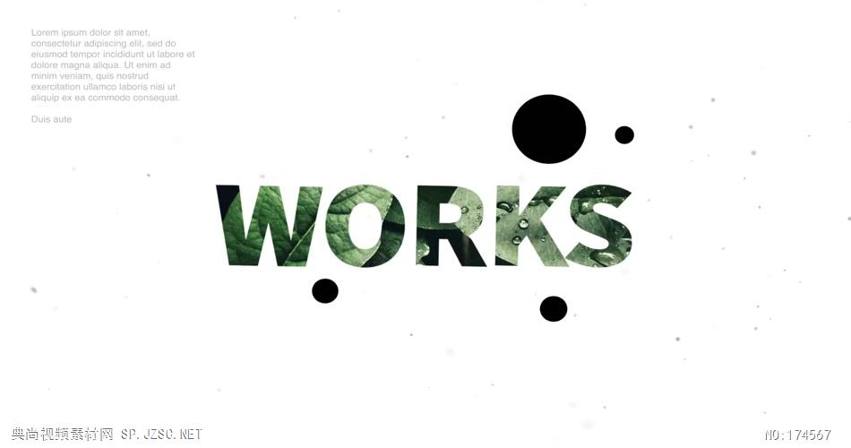 13963 文字图片快闪片头ae免费模板素材 ae素材