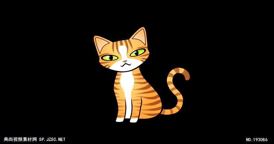 卡通动物绘画过程  Cat 视频素材下载