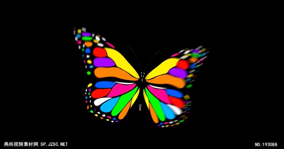 卡通动物绘画过程  Butterfly 视频素材下载