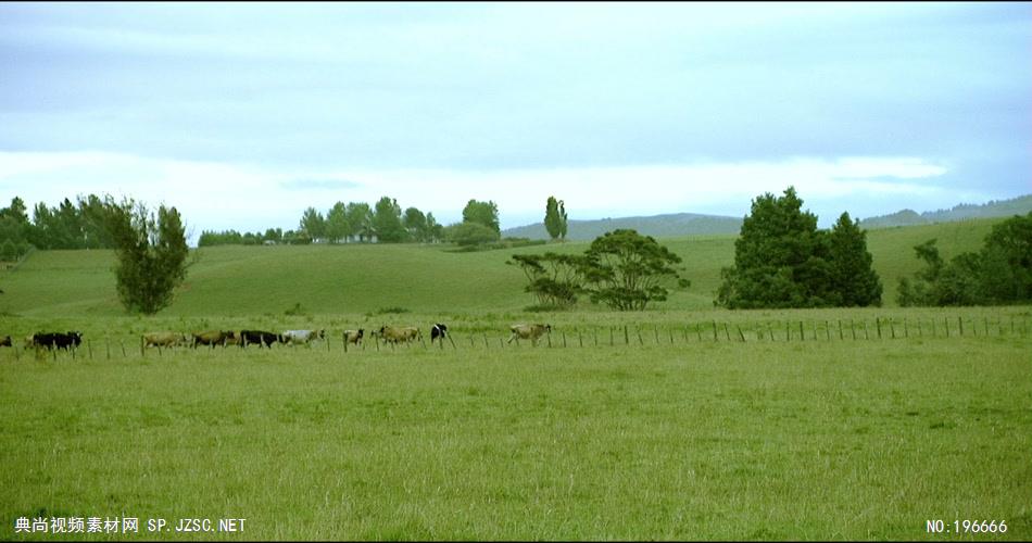 -草原蒙古包款D23714草原