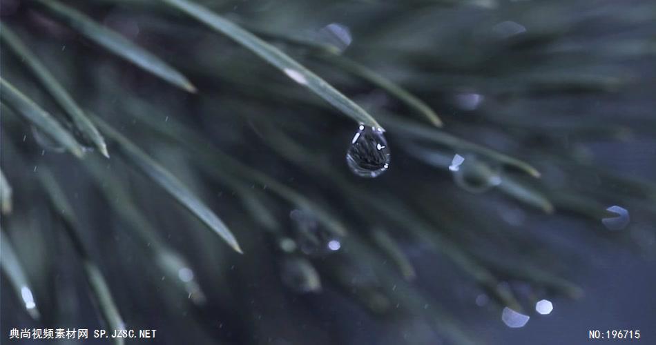 小清新美景系列款Y5803极致水滴