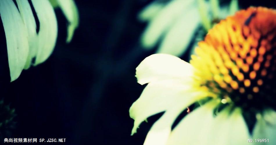 歌颂祖国 款A03912祖国在我心窝里有音乐