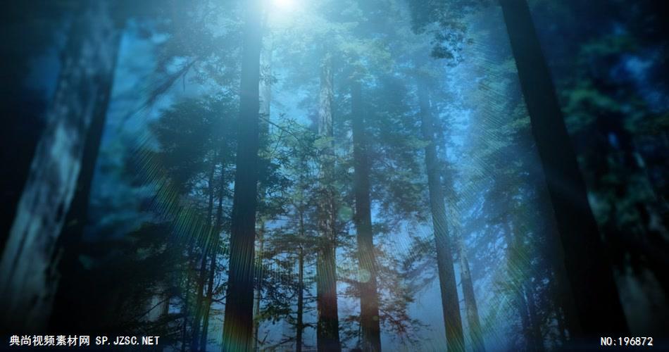 梦幻童话森林 款A00141梦幻童话森林无音乐