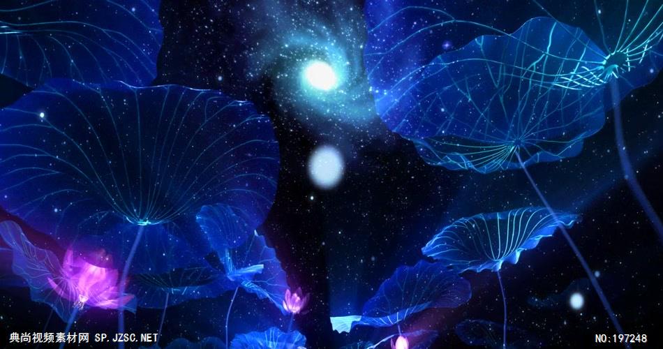 荷塘月色荷花系列1