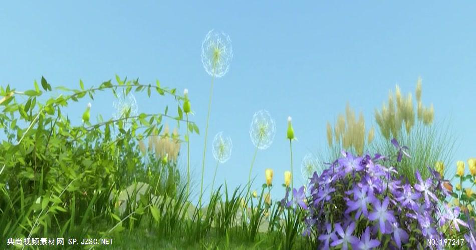 荷塘月色荷花系列11