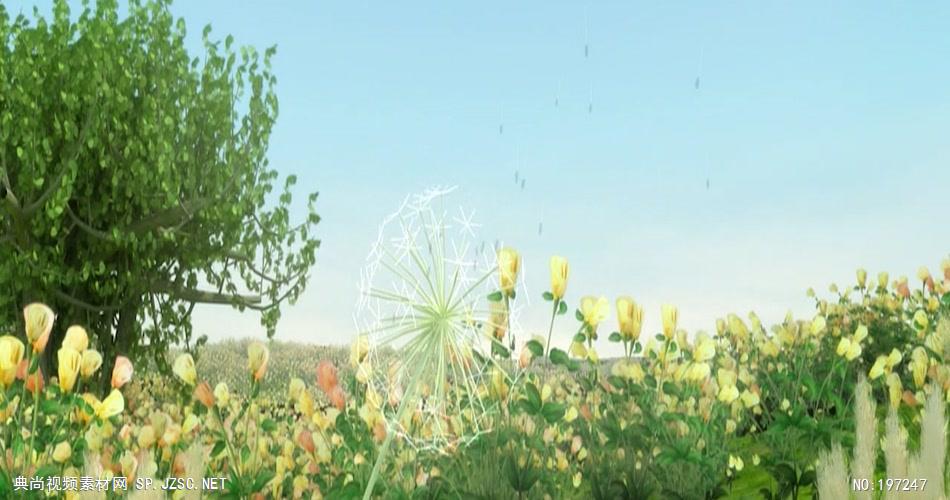 荷塘月色荷花系列11