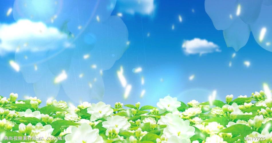 茉莉花开 款A16311蓝天茉莉花