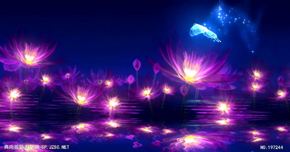 荷塘月色荷花系列12