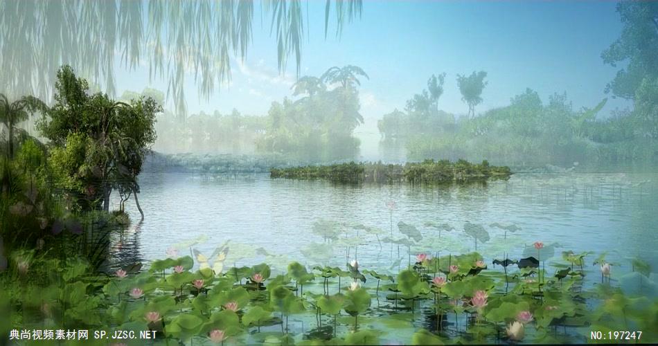 荷塘月色荷花系列11