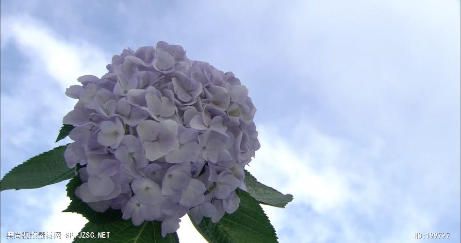 台湾风光台湾风光A_batch中国高清实拍素材宣传片