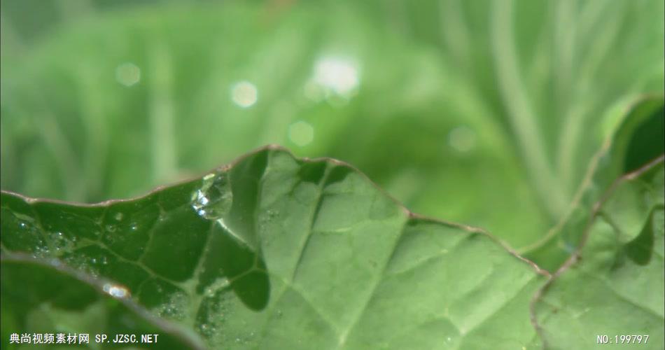 台湾风光台湾风光A_batch中国高清实拍素材宣传片