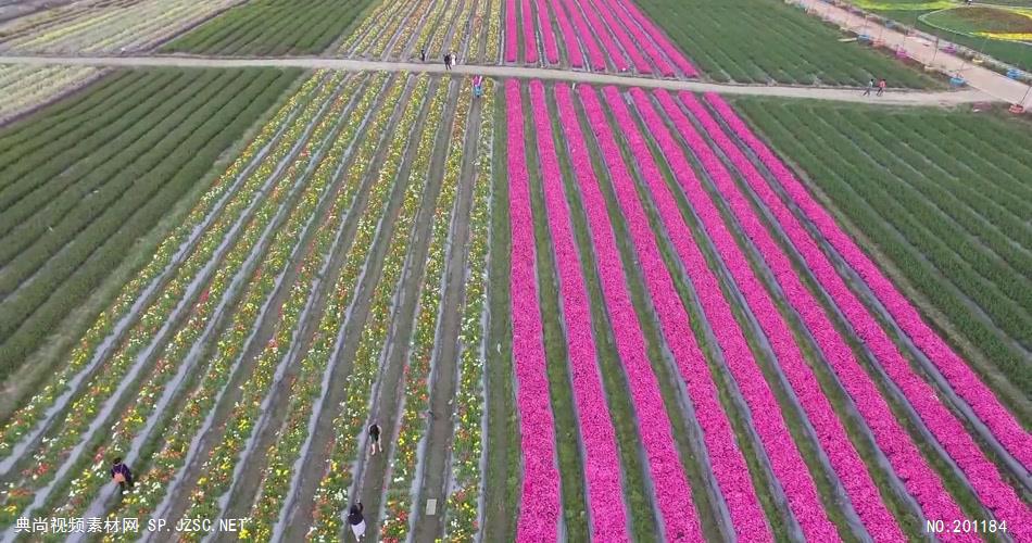 企业宣传片成片 城市宣传片 (34)大气宏伟公司宣传片视频下载免费企业宣传视频模板