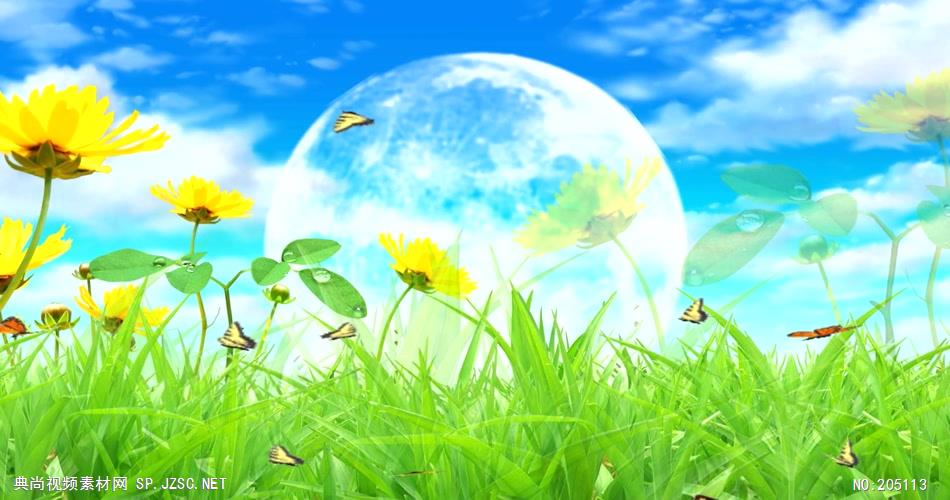 D228-1 清新草丛蝴蝶视频