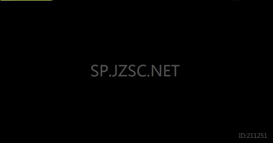 AE 15255 活力标题展示