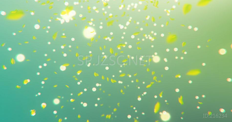 分享清新绿茶叶片- (6)