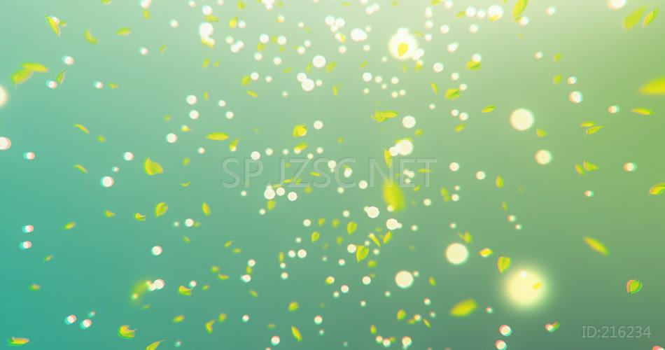 分享清新绿茶叶片- (6)