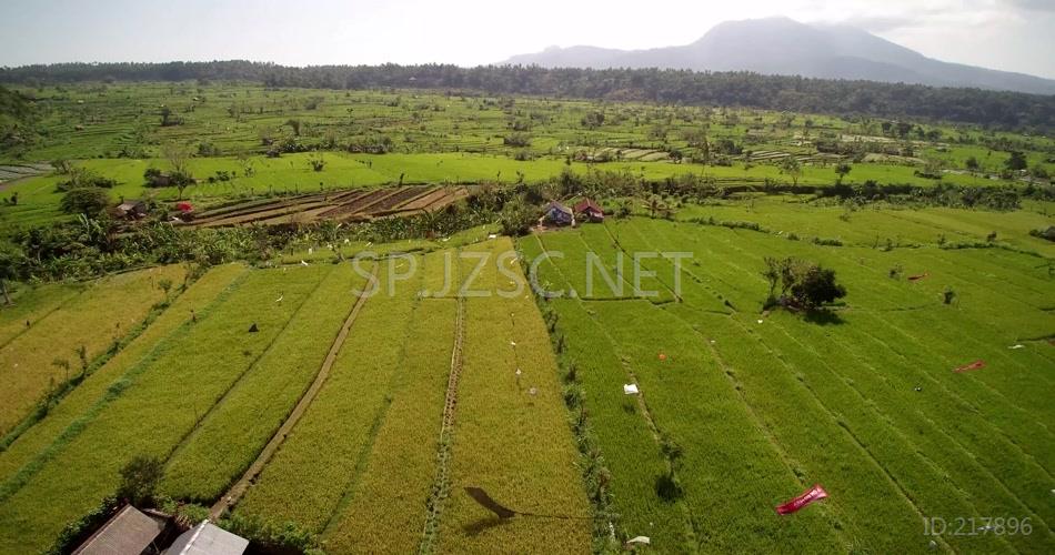 4K航拍云南梯田视频素材