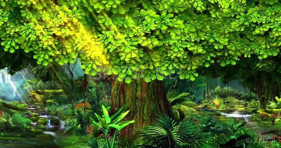 13艺鑫《夏日里的滴滴调》_1