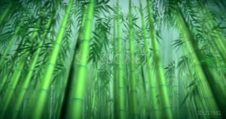 17艺智青青竹儿_1