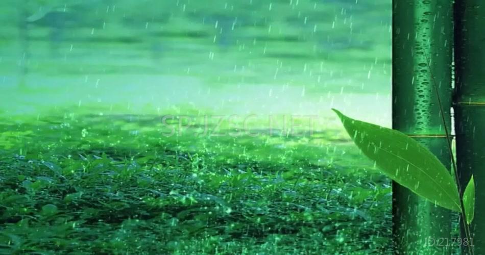 17艺智青青竹儿_1